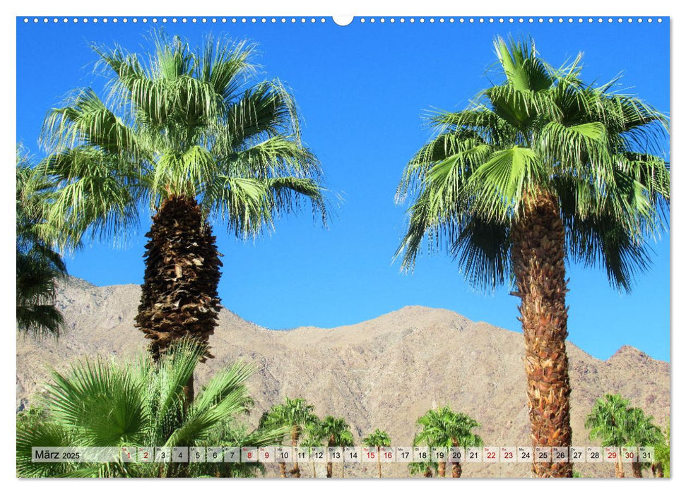 Palm Springs und Umgebung (CALVENDO Wandkalender 2025)