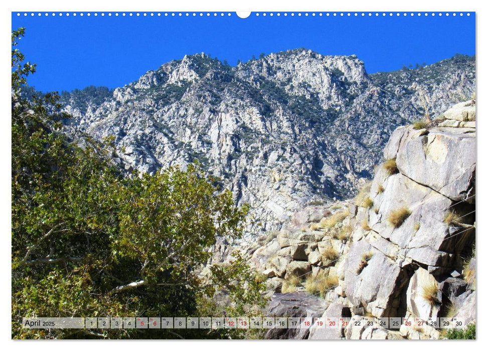 Palm Springs und Umgebung (CALVENDO Wandkalender 2025)