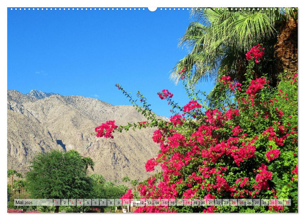 Palm Springs und Umgebung (CALVENDO Wandkalender 2025)