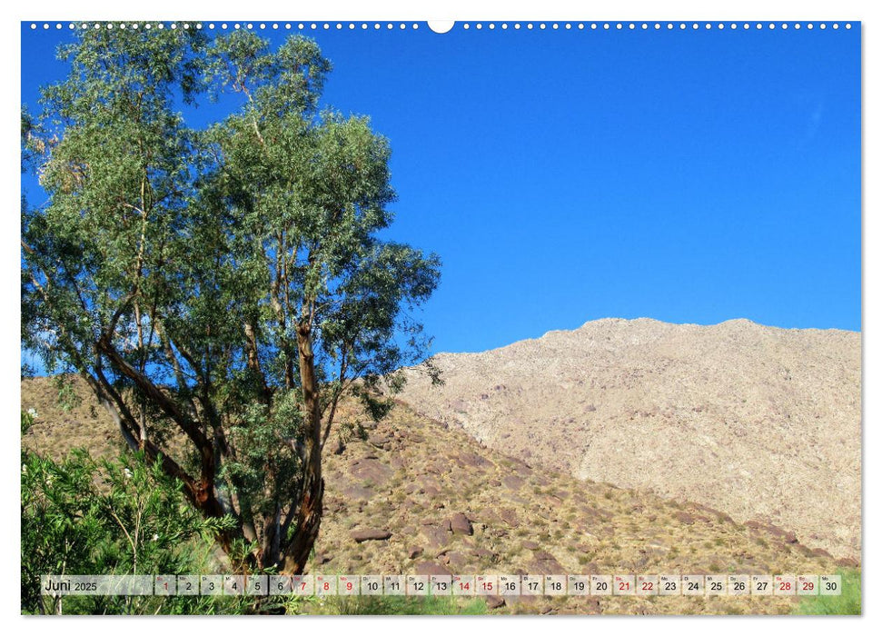 Palm Springs und Umgebung (CALVENDO Wandkalender 2025)