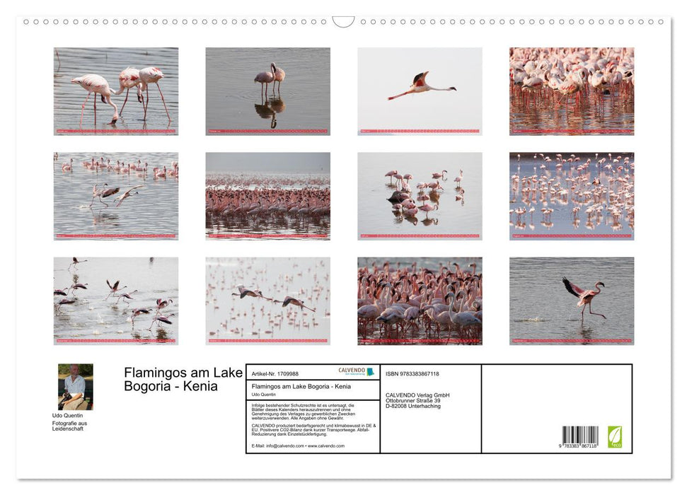 Flamingos am Lake Bogoria - Kenia (CALVENDO Wandkalender 2025)