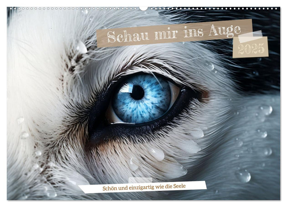 Schau mir ins Auge (CALVENDO Wandkalender 2025)