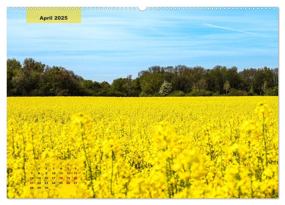 Ein Jahr Niederrhein Momente der Natur (CALVENDO Wandkalender 2025)