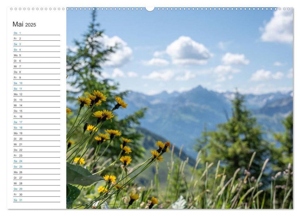 Faszination Alpen (CALVENDO Wandkalender 2025)