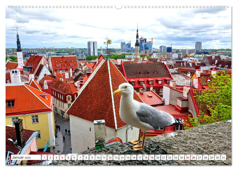 Tallinn City Tour (CALVENDO Wandkalender 2025)