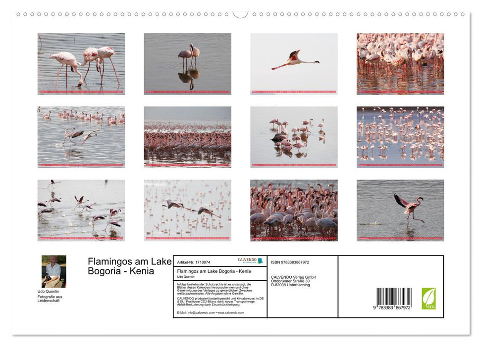 Flamingos am Lake Bogoria - Kenia (CALVENDO Premium Wandkalender 2025)