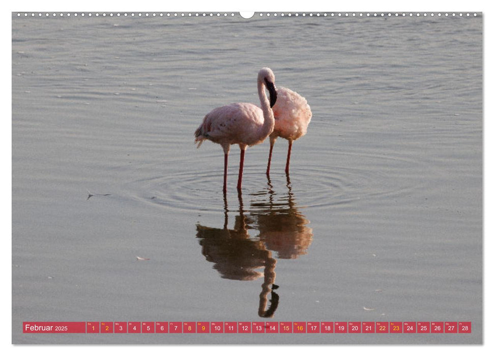 Flamingos am Lake Bogoria - Kenia (CALVENDO Premium Wandkalender 2025)