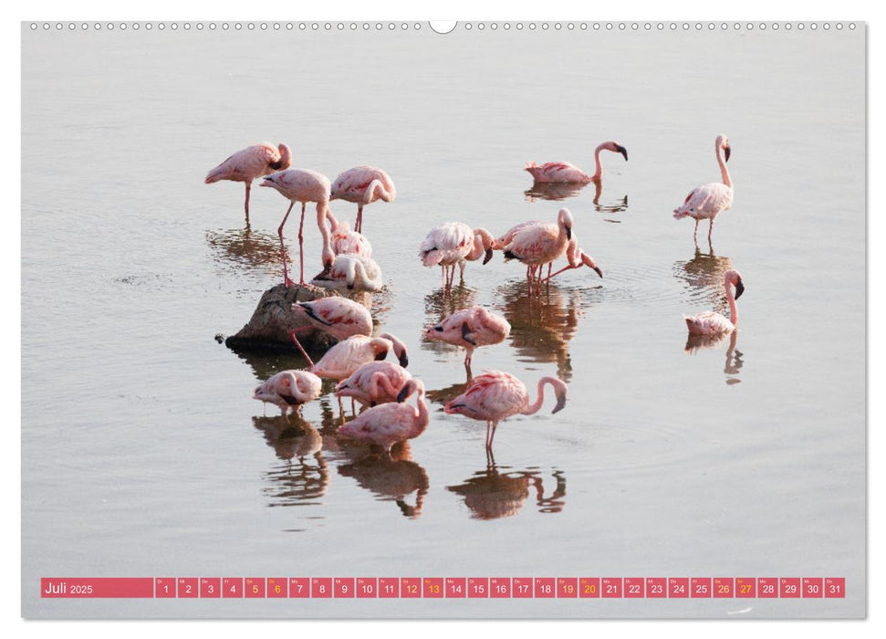 Flamingos am Lake Bogoria - Kenia (CALVENDO Premium Wandkalender 2025)