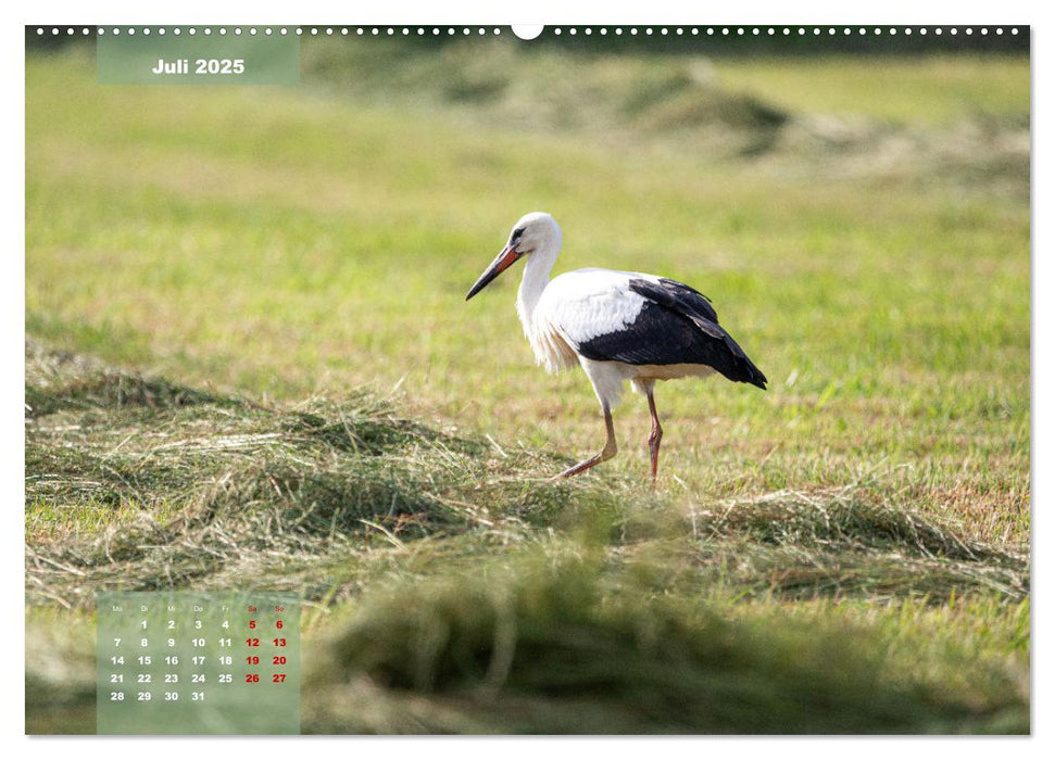 Ein Jahr Niederrhein Momente der Natur (CALVENDO Premium Wandkalender 2025)