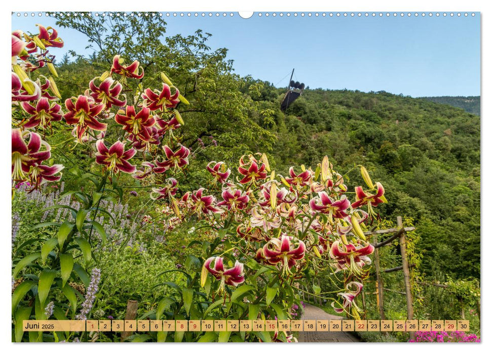 Südtirol - Meraner Land (CALVENDO Wandkalender 2025)