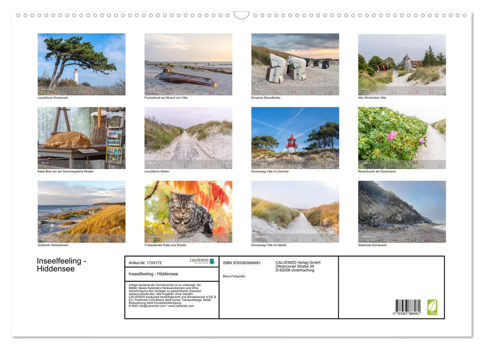 Inseelfeeling - Hiddensee (CALVENDO Wandkalender 2025)