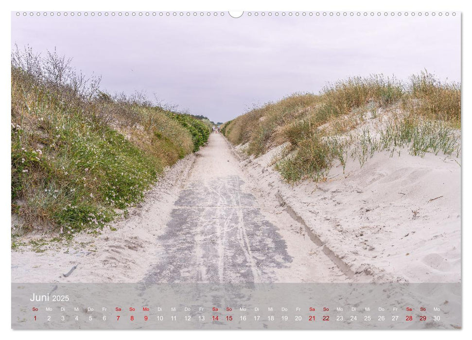 Inseelfeeling - Hiddensee (CALVENDO Wandkalender 2025)