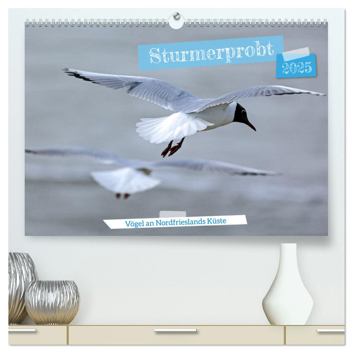 Sturmerprobt - Vögel an Nordfrieslands Küste (CALVENDO Premium Wandkalender 2025)