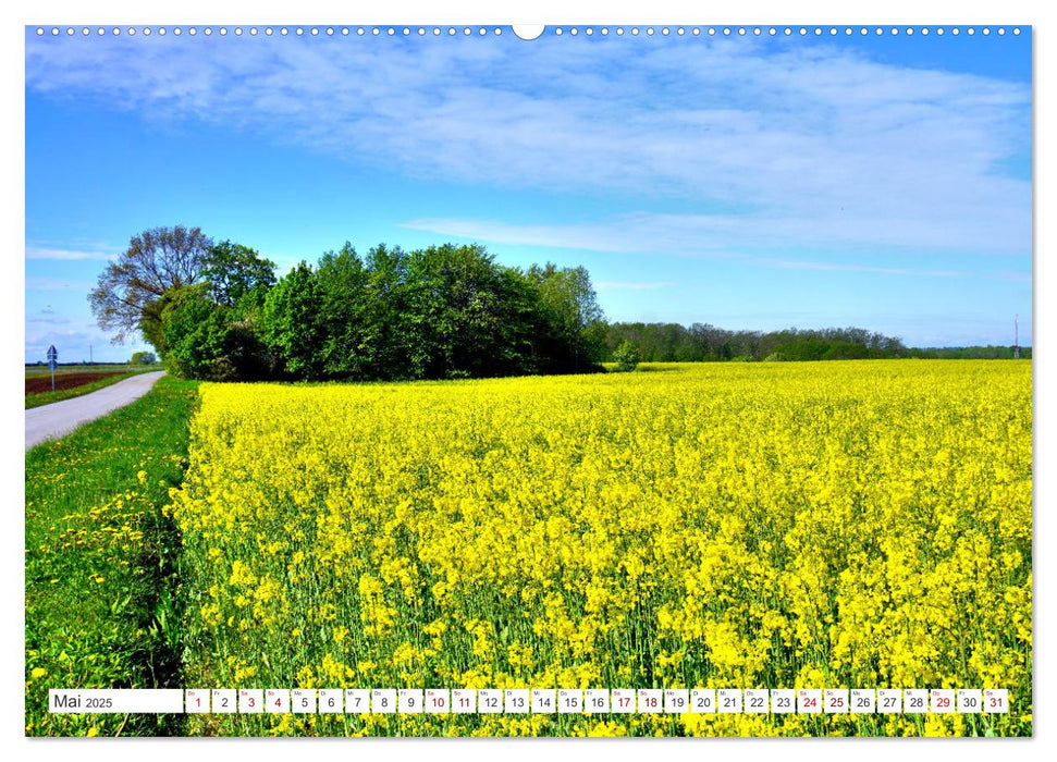 Grünes Estland - Naturparadies am Baltischen Meer (CALVENDO Wandkalender 2025)