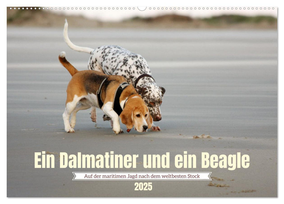 Ein Dalmatiner und ein Beagle - Auf der maritimen Jagd nach dem weltbesten Stock (CALVENDO Wandkalender 2025)