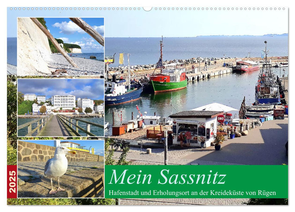 Mein Sassnitz - Hafenstadt und Erholungsort an der Kreideküste von Rügen (CALVENDO Wandkalender 2025)