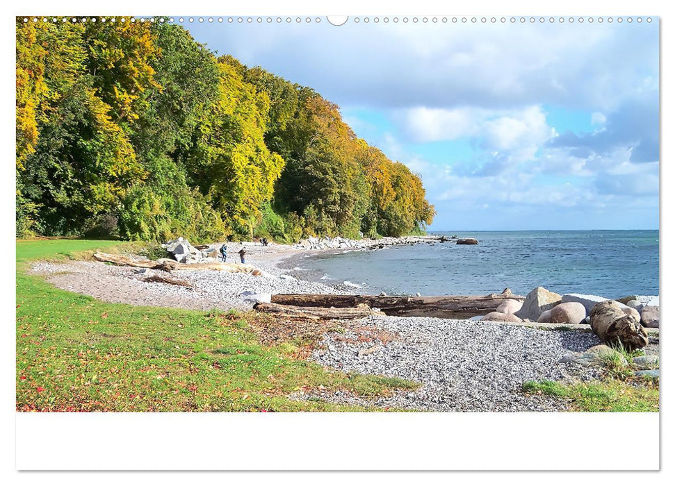 Mein Sassnitz - Hafenstadt und Erholungsort an der Kreideküste von Rügen (CALVENDO Wandkalender 2025)