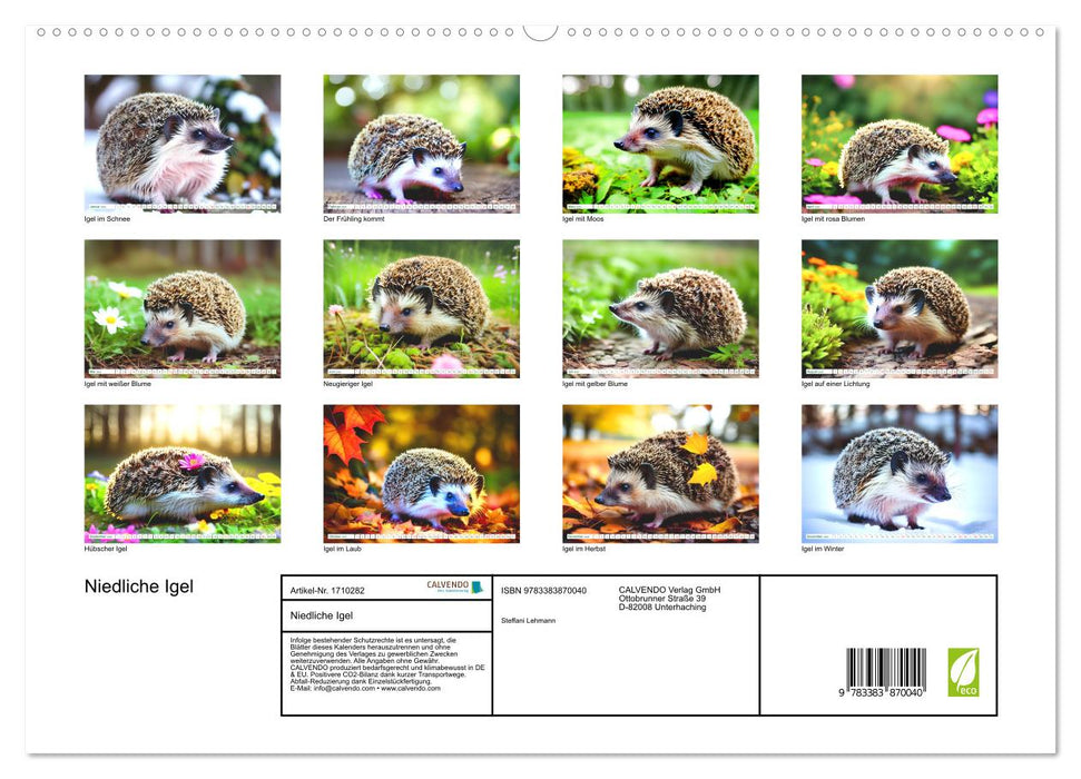 Niedliche Igel (CALVENDO Premium Wandkalender 2025)