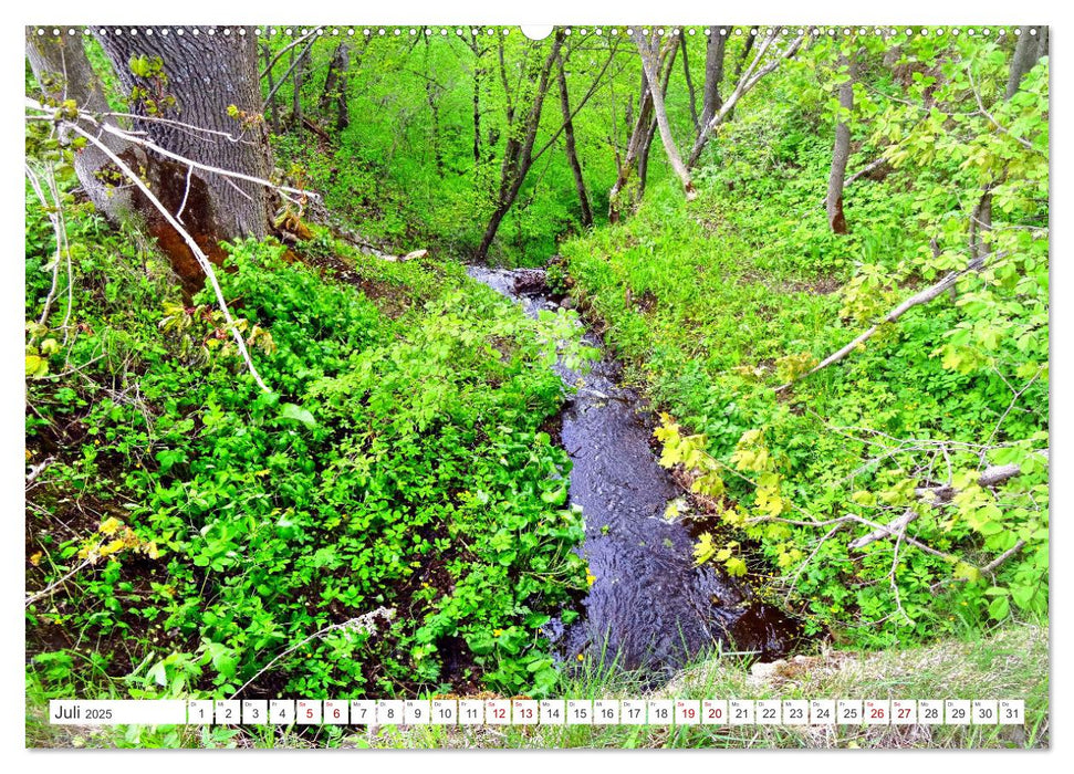 Grünes Estland - Naturparadies am Baltischen Meer (CALVENDO Premium Wandkalender 2025)