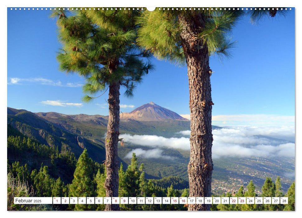 Teneriffa Insel der Glückseligen (CALVENDO Premium Wandkalender 2025)