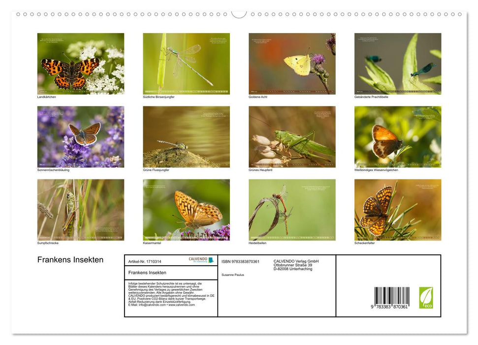 Frankens Insekten (CALVENDO Premium Wandkalender 2025)