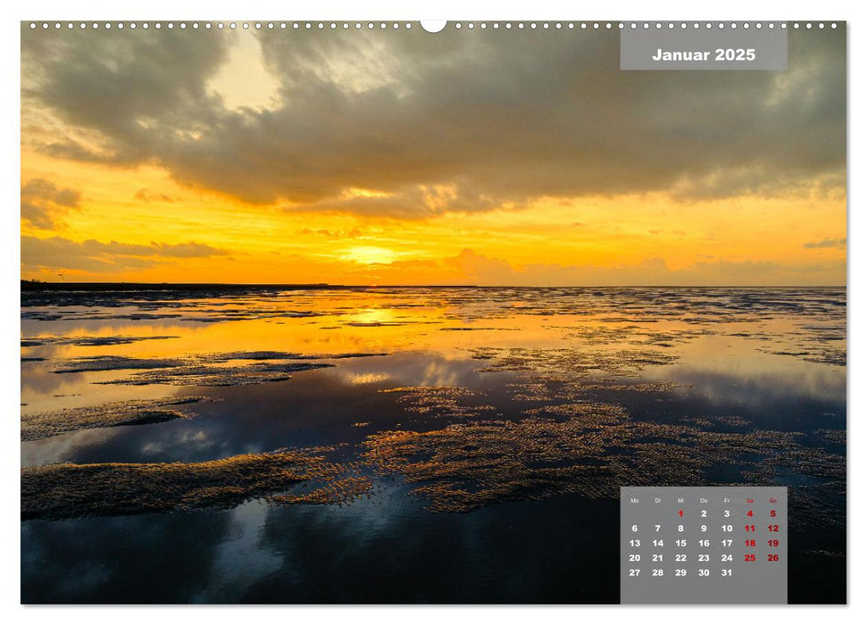 Das ist Ostfriesland (CALVENDO Premium Wandkalender 2025)