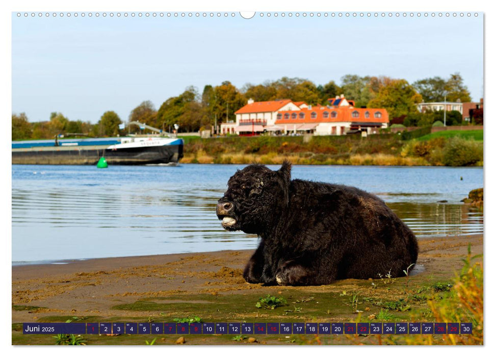 Venlo (CALVENDO Premium Wandkalender 2025)