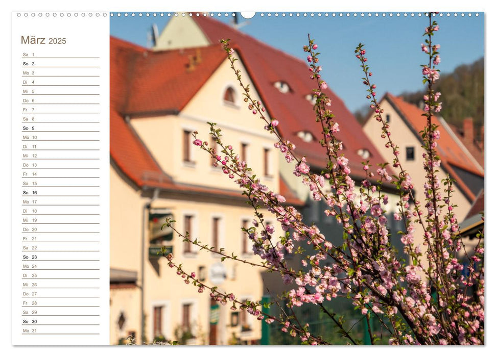 Königstein Perspektiven - Elbsandstein (CALVENDO Premium Wandkalender 2025)