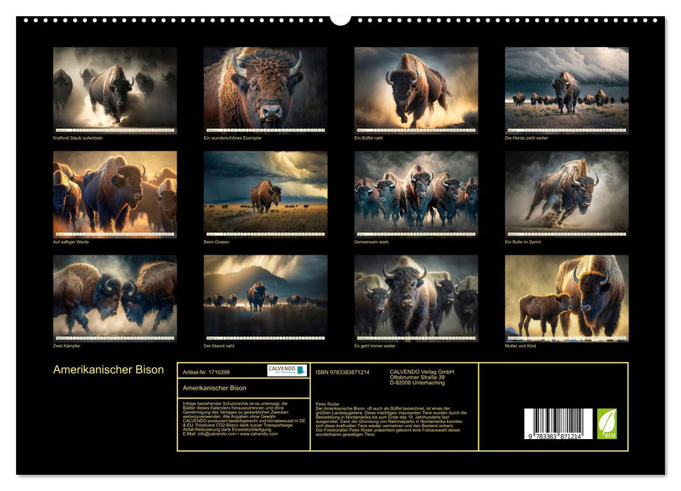 Amerikanischer Bison (CALVENDO Premium Wandkalender 2025)