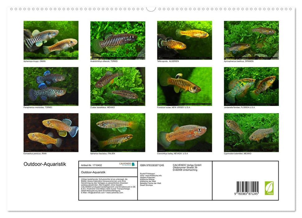 Outdoor-Aquaristik (CALVENDO Premium Wandkalender 2025)