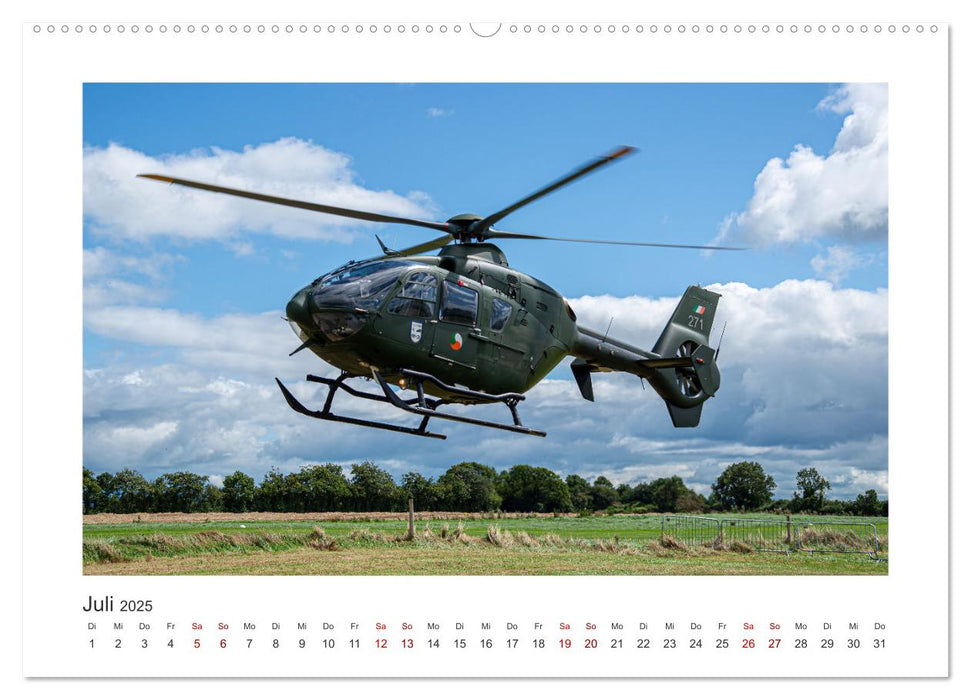 Helden der Lüfte (CALVENDO Premium Wandkalender 2025)