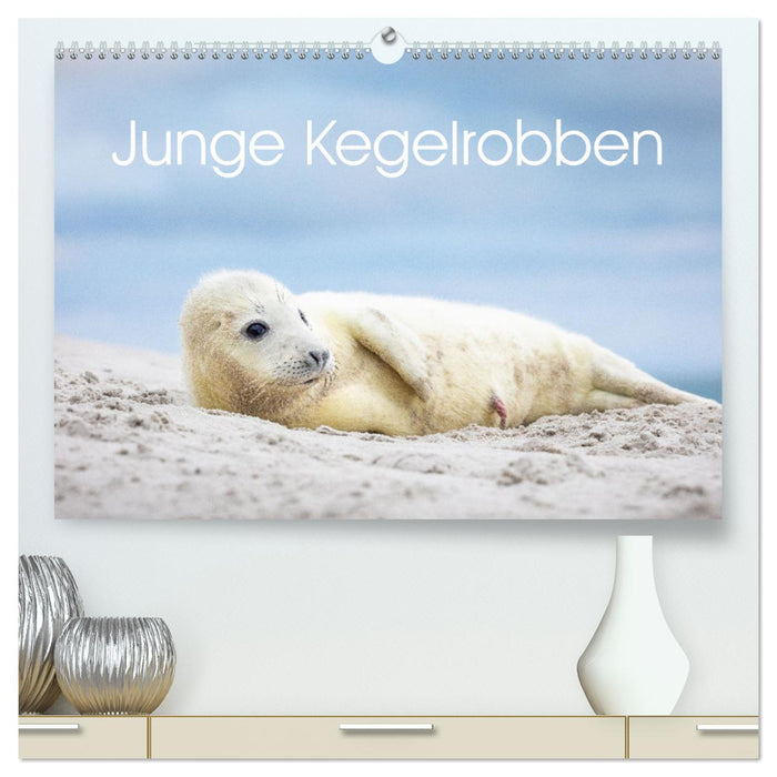 Junge Kegelrobben (CALVENDO Premium Wandkalender 2025)