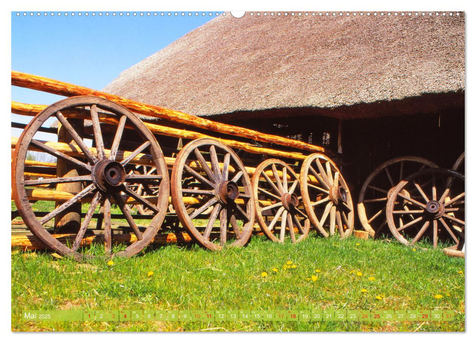 Landwirtschaft Natur pur Mecklenburg-Vorpommern (CALVENDO Premium Wandkalender 2025)