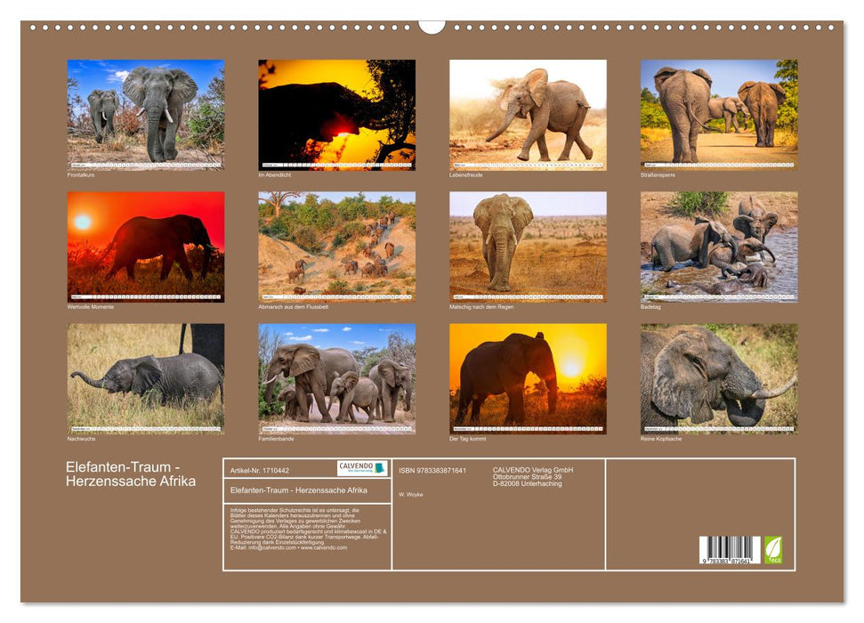 Elefanten-Traum - Herzenssache Afrika (CALVENDO Wandkalender 2025)