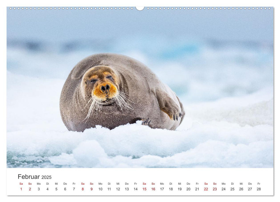 Naturparadies Svalbard (CALVENDO Premium Wandkalender 2025)