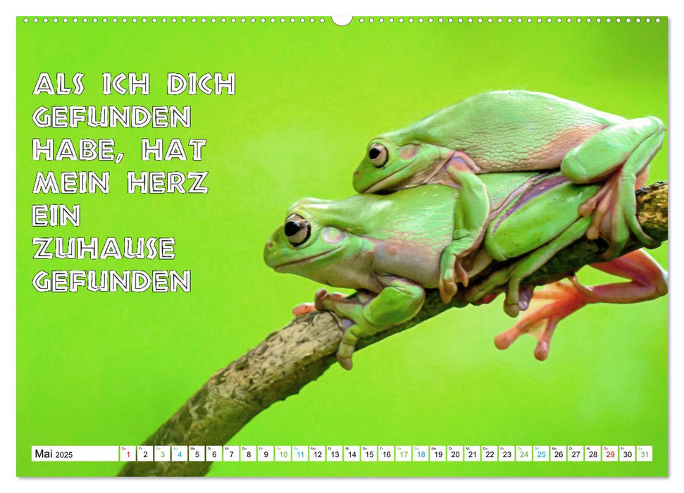 Frosch quakt Sprüche (CALVENDO Premium Wandkalender 2025)