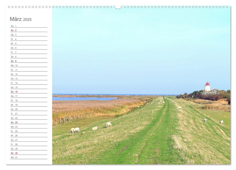 Fehmarn, Rügen und Usedom - Impressionen von den drei großen Ostseeinseln (CALVENDO Wandkalender 2025)