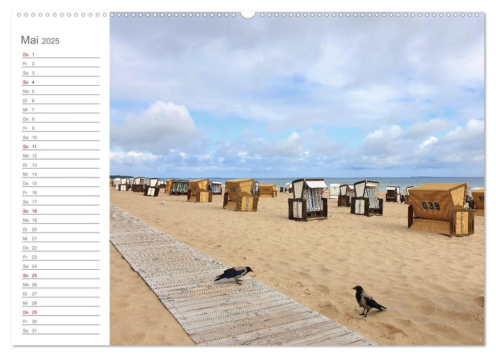 Fehmarn, Rügen und Usedom - Impressionen von den drei großen Ostseeinseln (CALVENDO Wandkalender 2025)