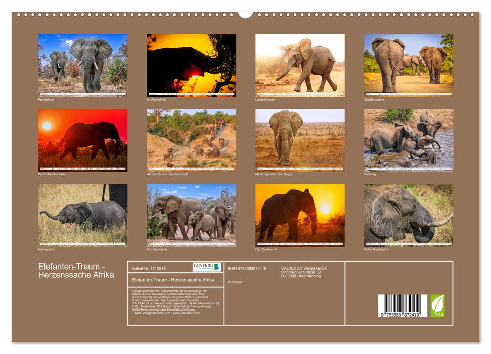 Elefanten-Traum - Herzenssache Afrika (CALVENDO Premium Wandkalender 2025)