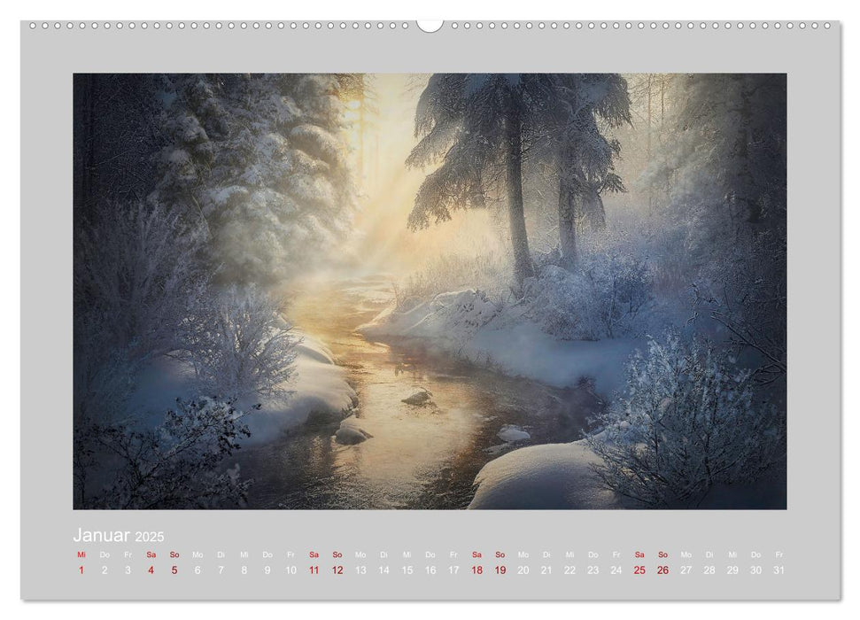 Wald der Märchen (CALVENDO Premium Wandkalender 2025)