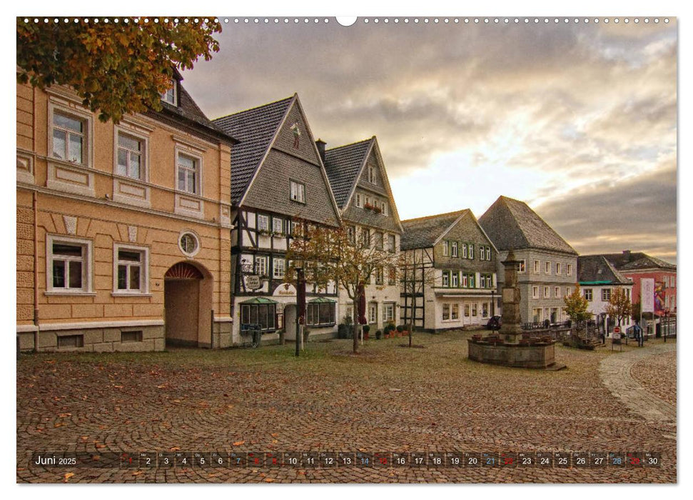 Stadtansichten Arnsberg (CALVENDO Premium Wandkalender 2025)