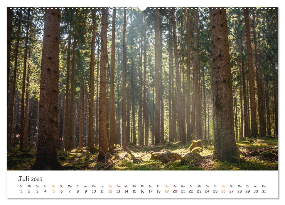 Magischer Harzwald (CALVENDO Premium Wandkalender 2025)