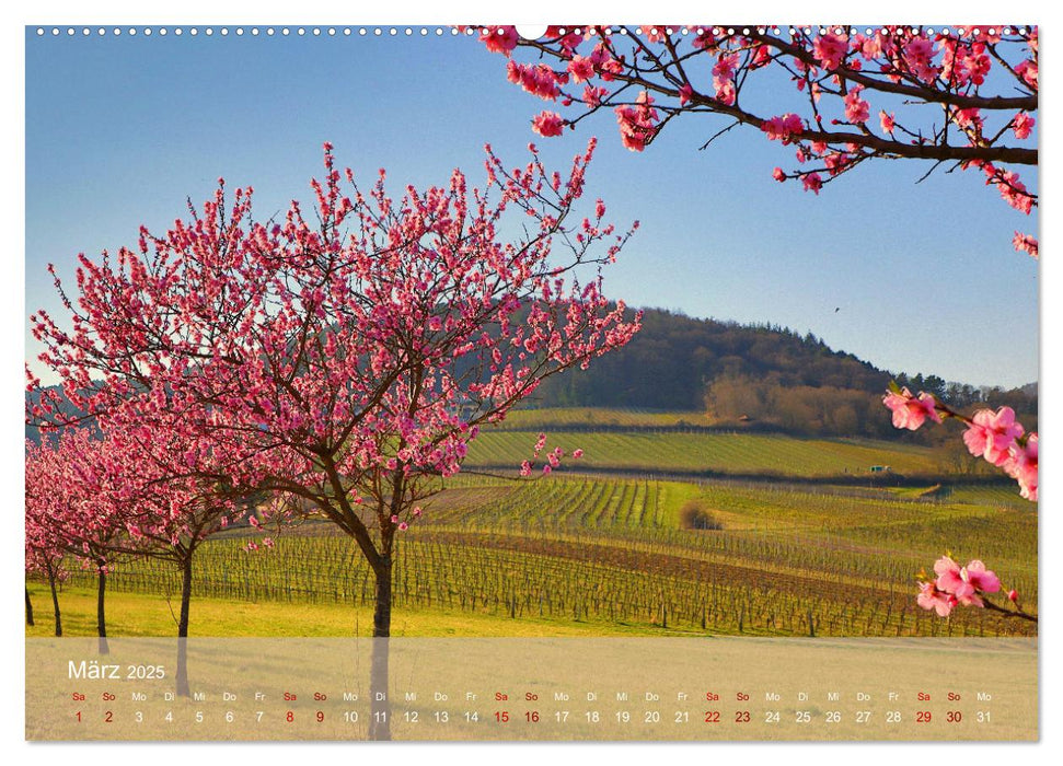 Wanderparadies Südpfalz (CALVENDO Wandkalender 2025)