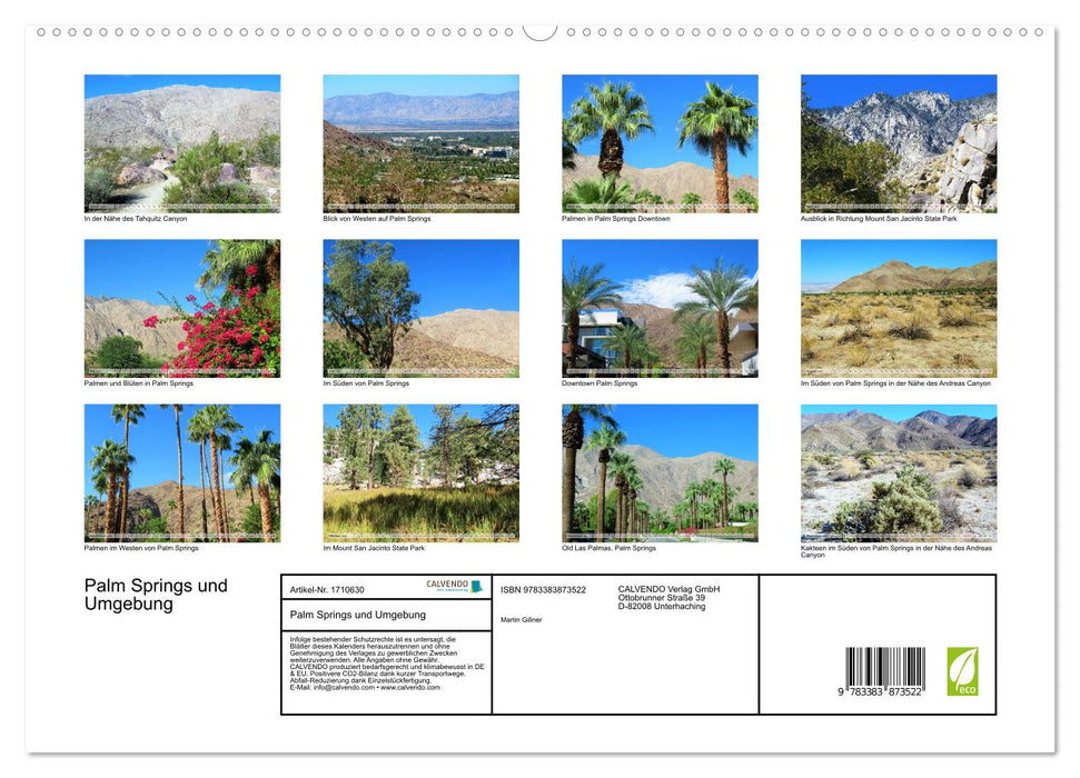 Palm Springs und Umgebung (CALVENDO Premium Wandkalender 2025)