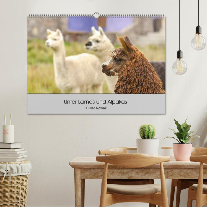 Unter Lamas und Alpakas (CALVENDO Wandkalender 2025)