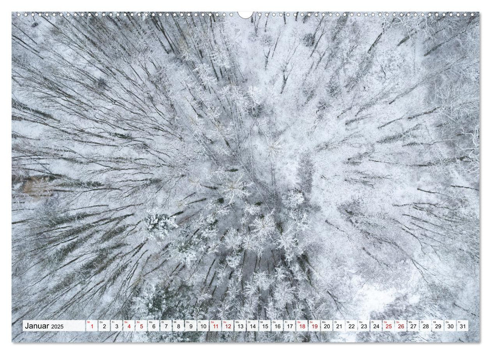 Traumhafte Wälder (CALVENDO Premium Wandkalender 2025)