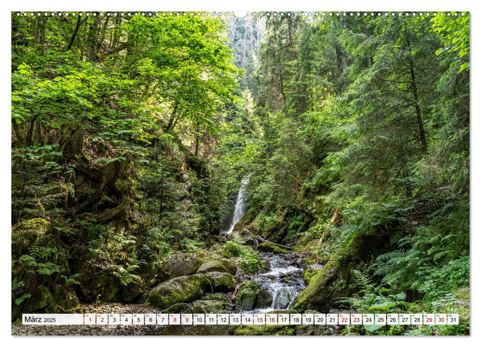 Traumhafte Wälder (CALVENDO Premium Wandkalender 2025)