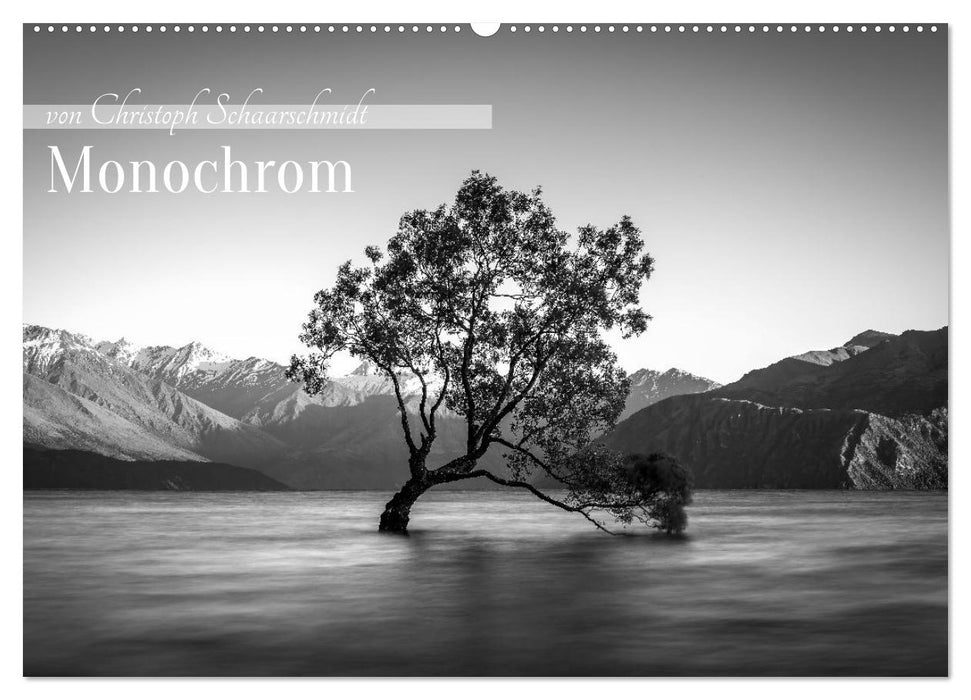 Monochrome Wonders (CALVENDO Wandkalender 2025)