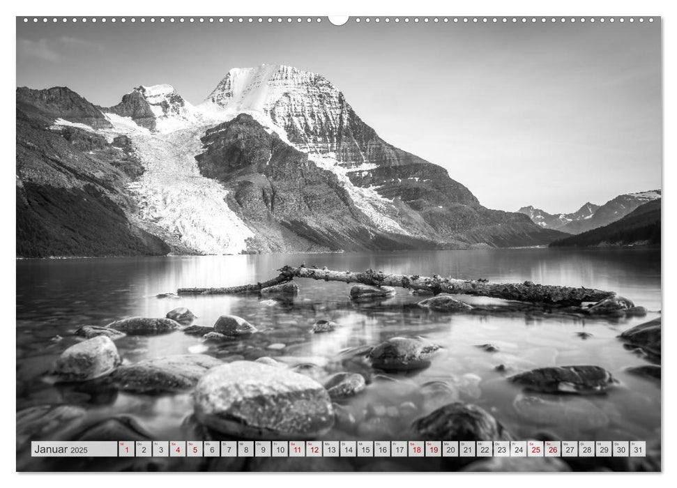 Monochrome Wonders (CALVENDO Wandkalender 2025)