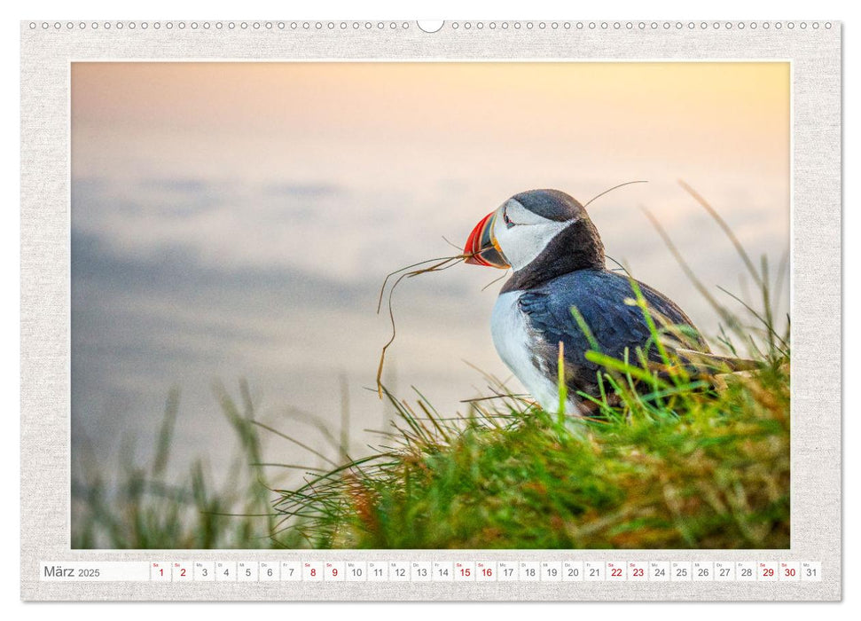 Die kleinen schönen (CALVENDO Wandkalender 2025)